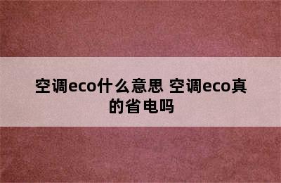 空调eco什么意思 空调eco真的省电吗